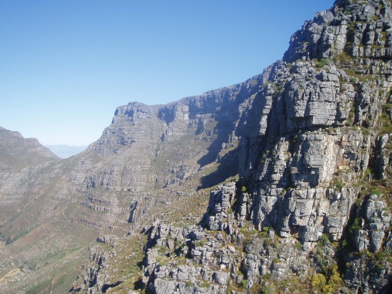 KeHa_in_South_Africa - 230